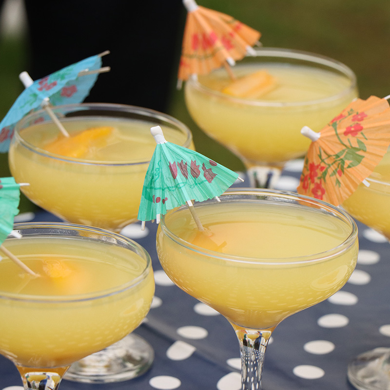 Cocktails and Song placeholder
