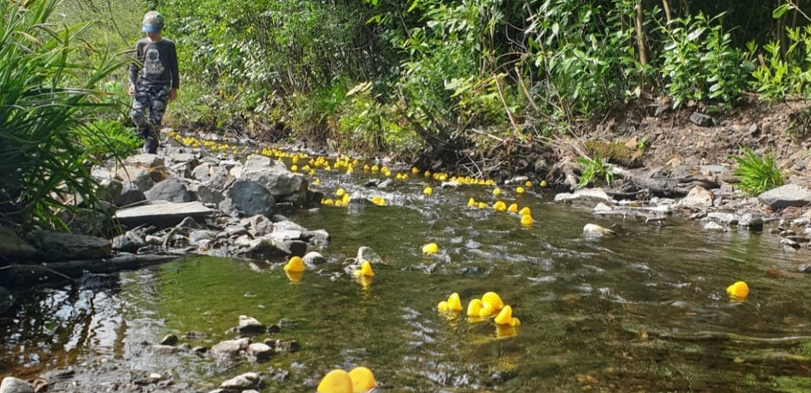 lots of plastic yellow flowing down a river